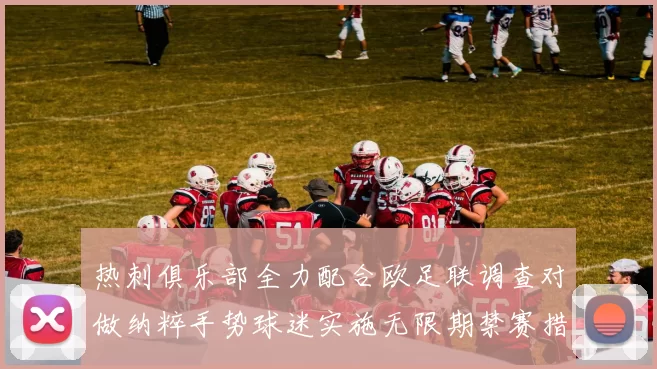 热刺俱乐部全力配合欧足联调查对做纳粹手势球迷实施无限期禁赛措施